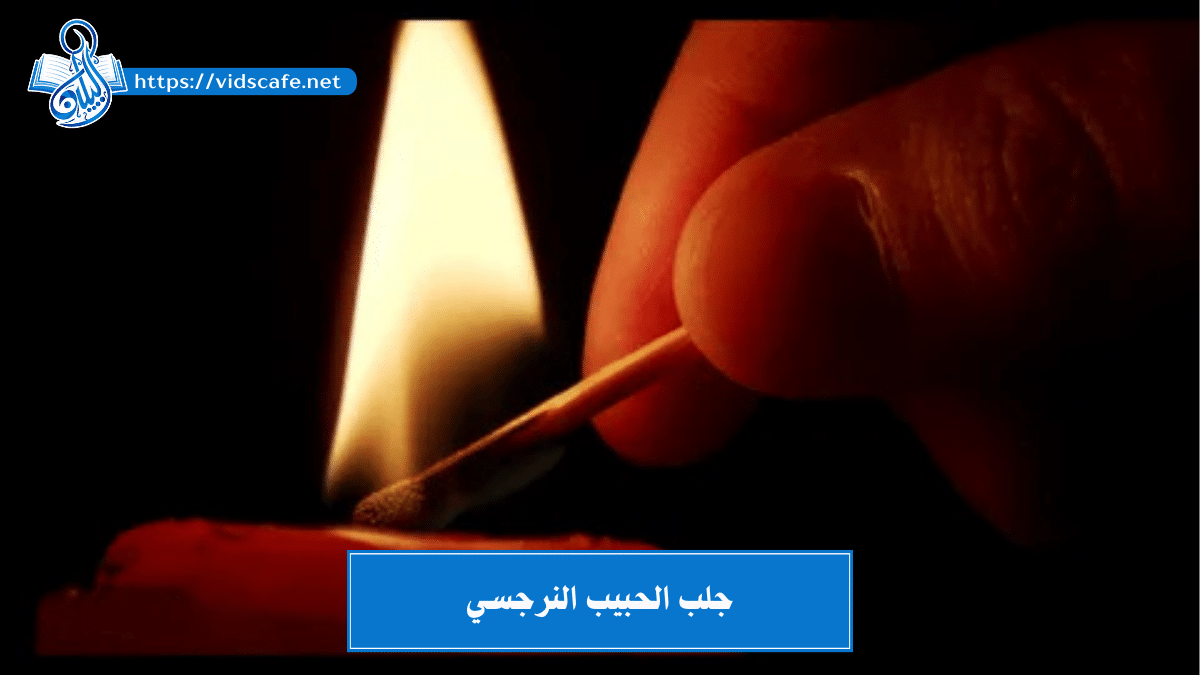 جلب الحبيب النرجسي بطرق مضمونة لجعل الحبيب خاضع